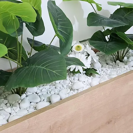 Luxury On 18th, 19th, 5th And 3rd Floor, With Pool, Fitness, Parking Included Skopje