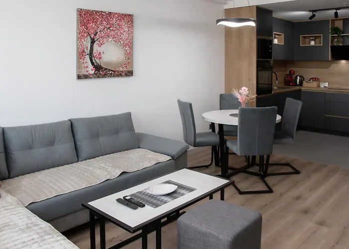 Luxury On 18th, 19th, 5th And 3rd Floor, With Pool, Fitness, Parking Included * スコピエ